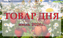 Аптеки ОАО "Фармация" снижают цены!