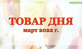 Аптеки ОАО "Фармация" снижают цены!