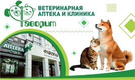 Ветеринарная клиника и аптека «Фаворит»!